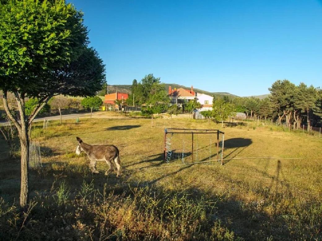 Villa El Mirador De Tortoles Esterno foto